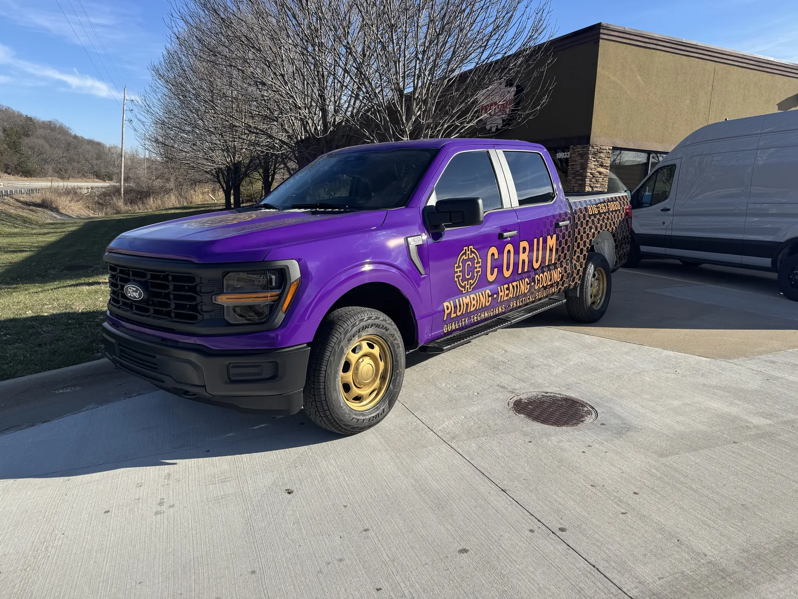 Purple + carbon fleet wrap — Ford F-150